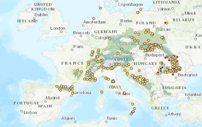 Aktuelle Generhaltungsgebiete der Tanne (<i>Abies alba</i>) in der paneuropäischen Datenbank EUFGIS