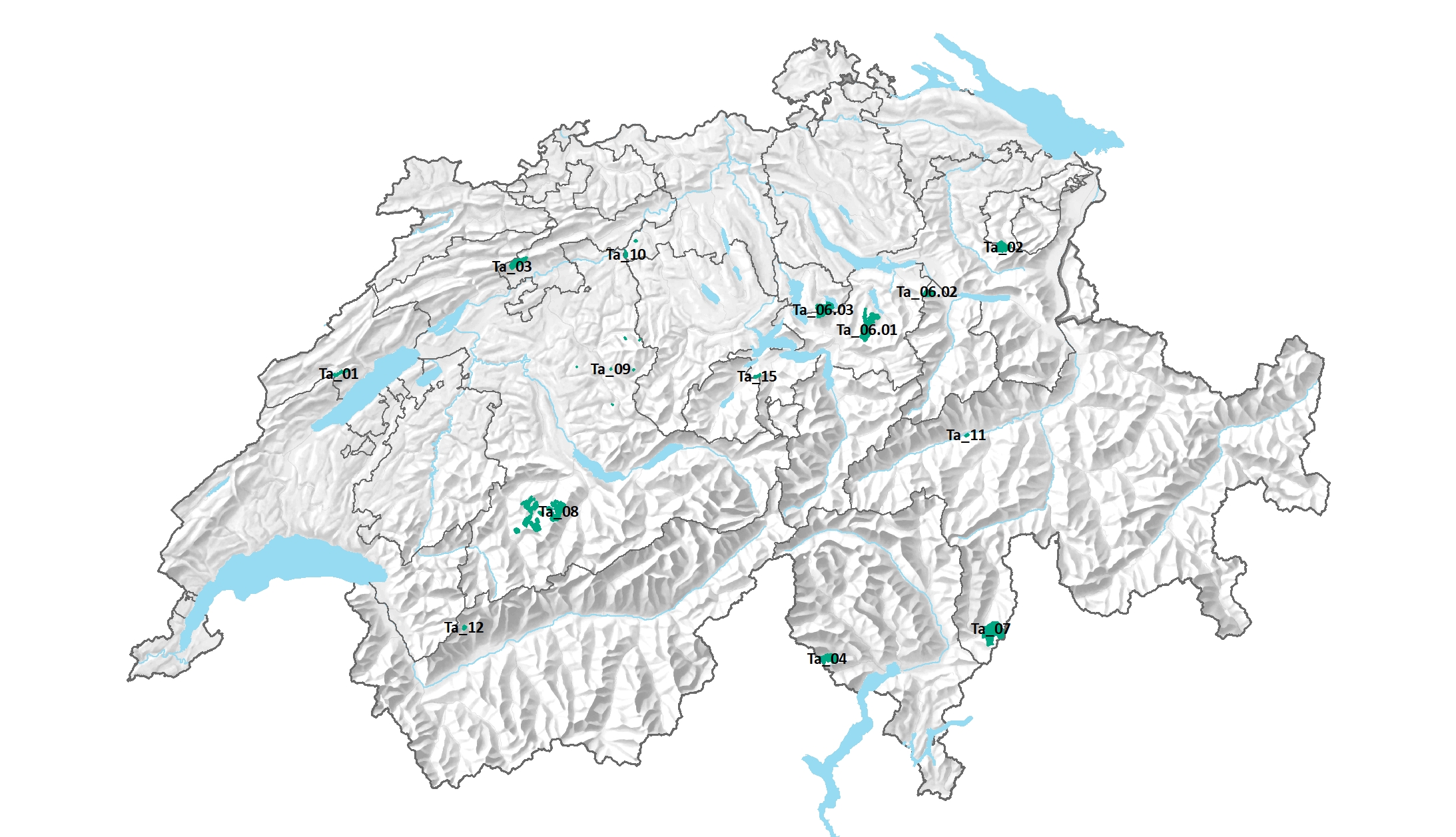 Generhaltungsgebiete zur Repräsentation der Zielpopulationen der Tanne (<i>Abies alba</i>) in der Schweiz