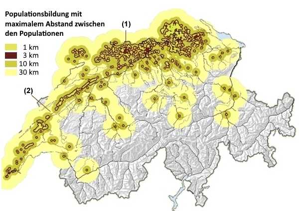 Ein Übersichtskarte zur Populationenbildung der Elsbeere in der Schweiz.Populationenbildung mit maximalen Abständen zwischen den Populationen von 1, 3, 10 oder 30 km. Mit zwei Beispielen (1-2). 